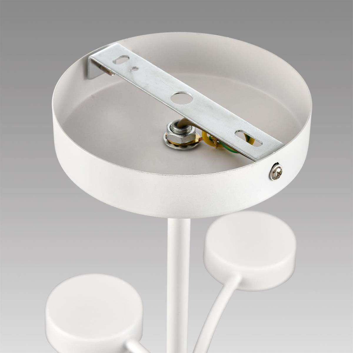 Люстра Lumion TORINA 8265/12