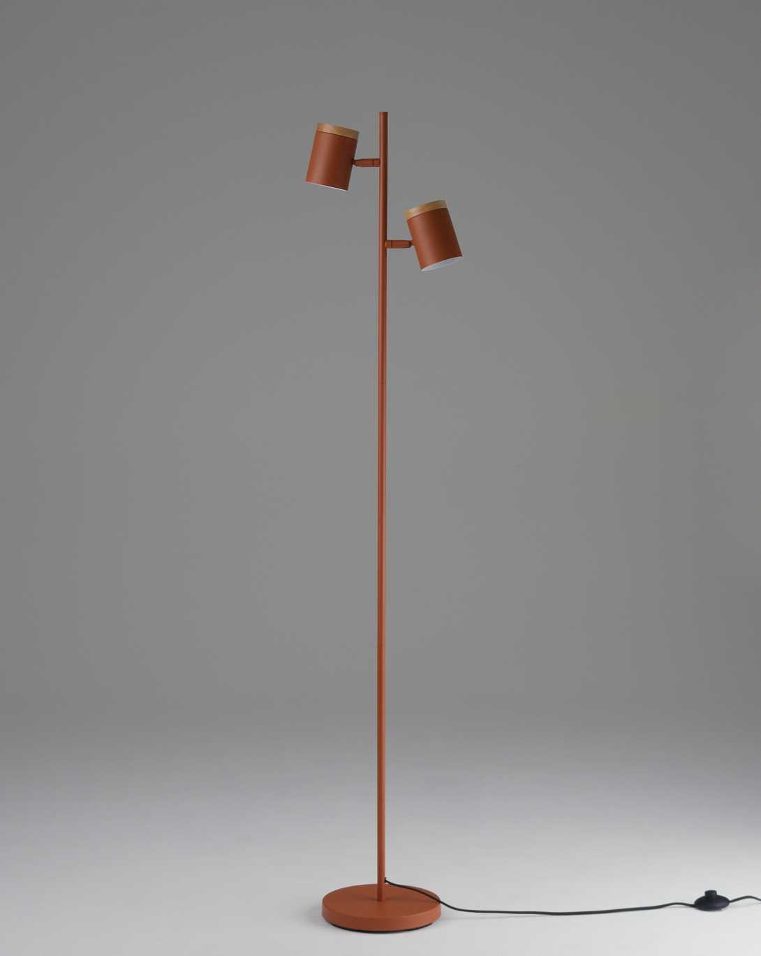 Торшер Moderli Asheswood V11289-2F