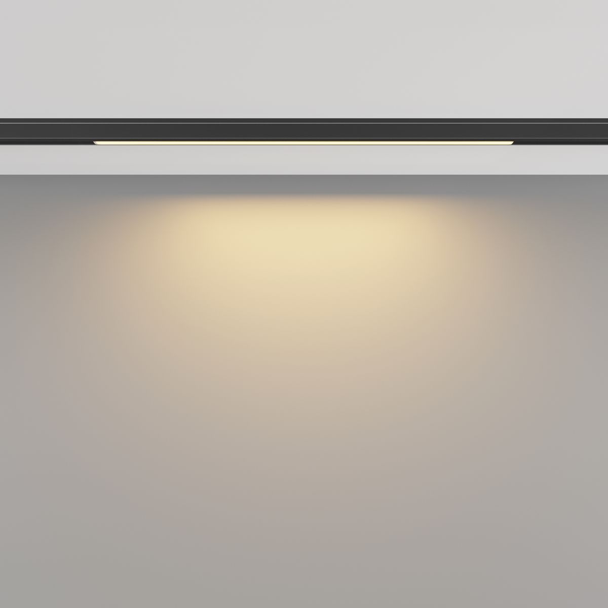 Трековый светодиодный светильник Maytoni Technical Basis TR190-1-5W2.7K-B