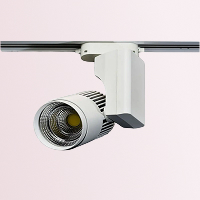 Трековая система