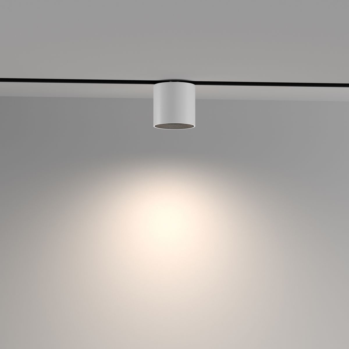 Трековый светодиодный светильник Maytoni Technical Exility Alfa S TR132-4-7W-DS-W