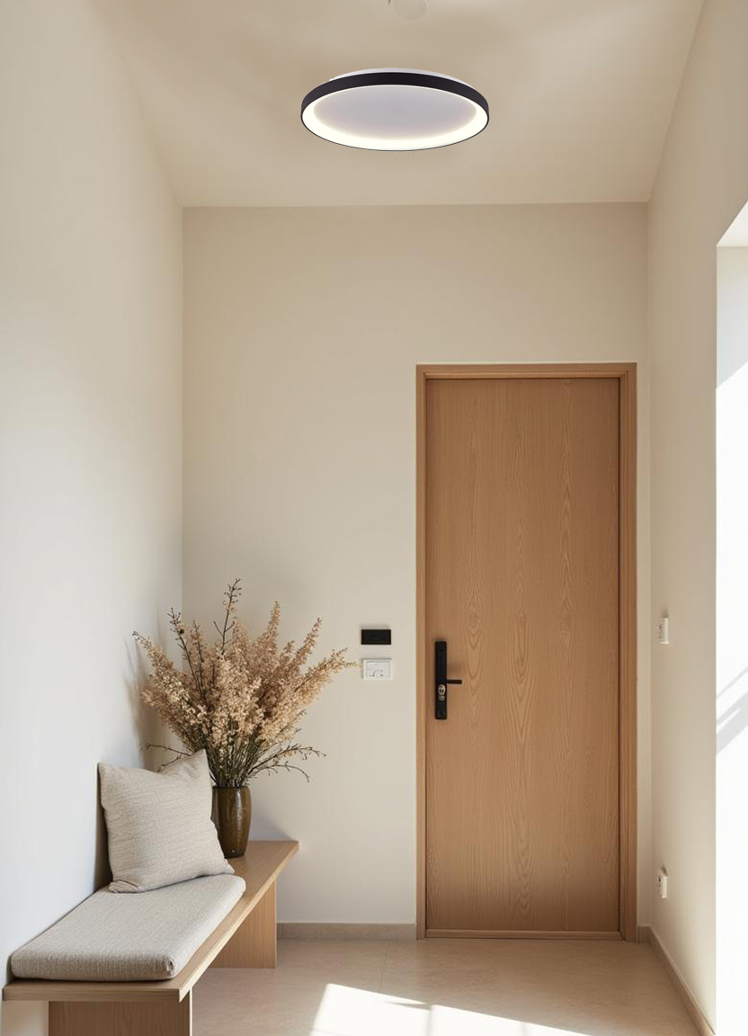 Потолочный светильник Milosh tendence 0876CL-30BK