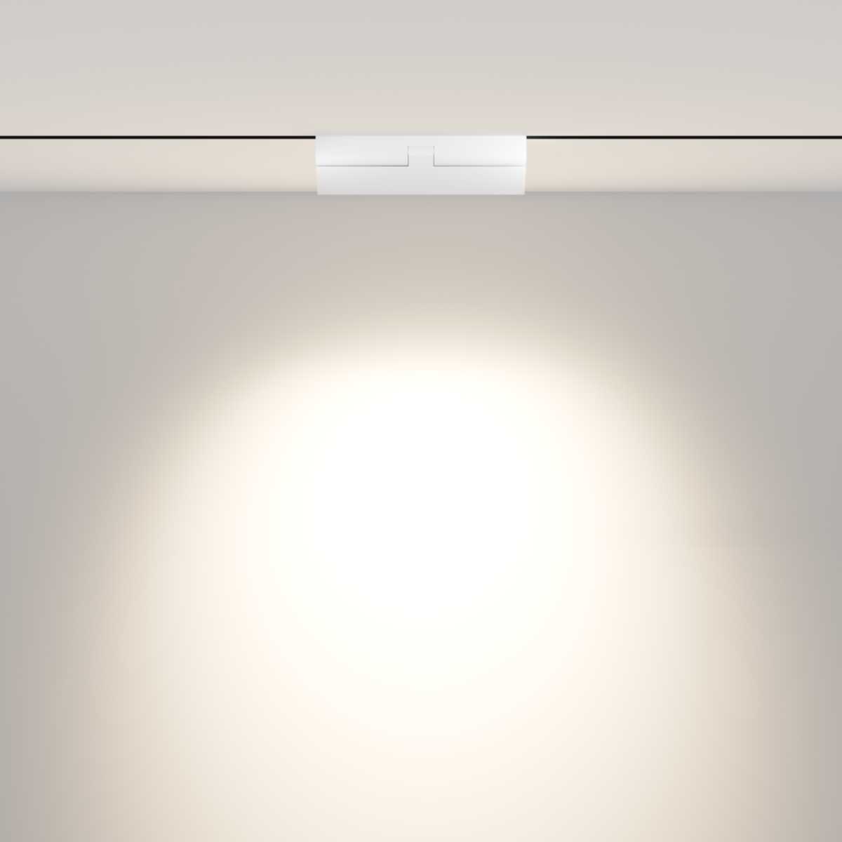 Трековый светодиодный светильник Maytoni Technical Points TR033-2-12W4K-W