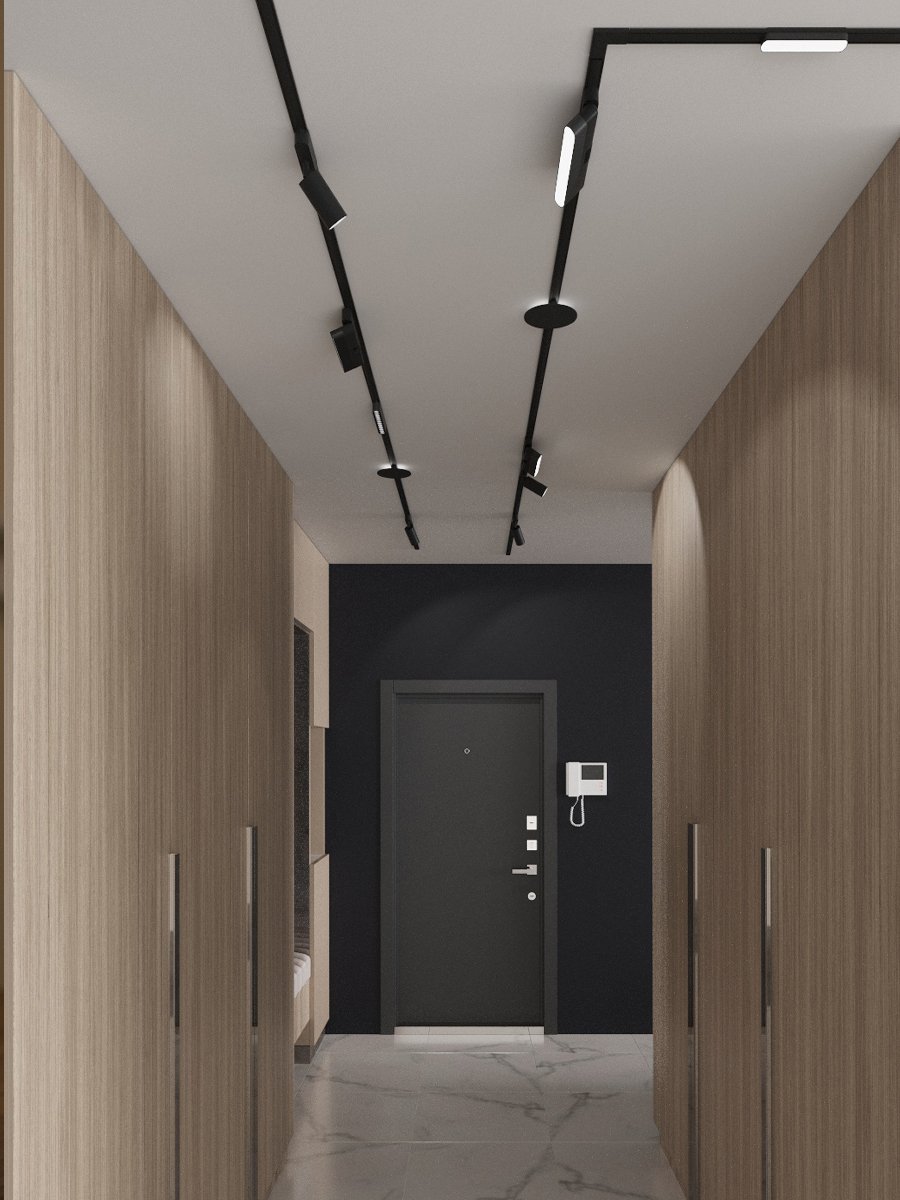 Светильник трековый ZZOK NLM12-BK-S