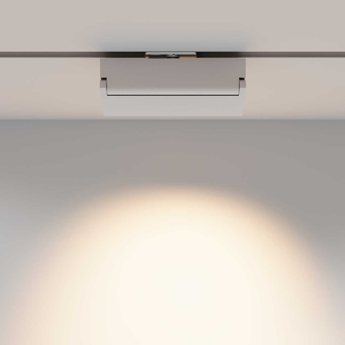 Трековый светильник Maytoni Technical TR223-1-12WCCT-W-W
