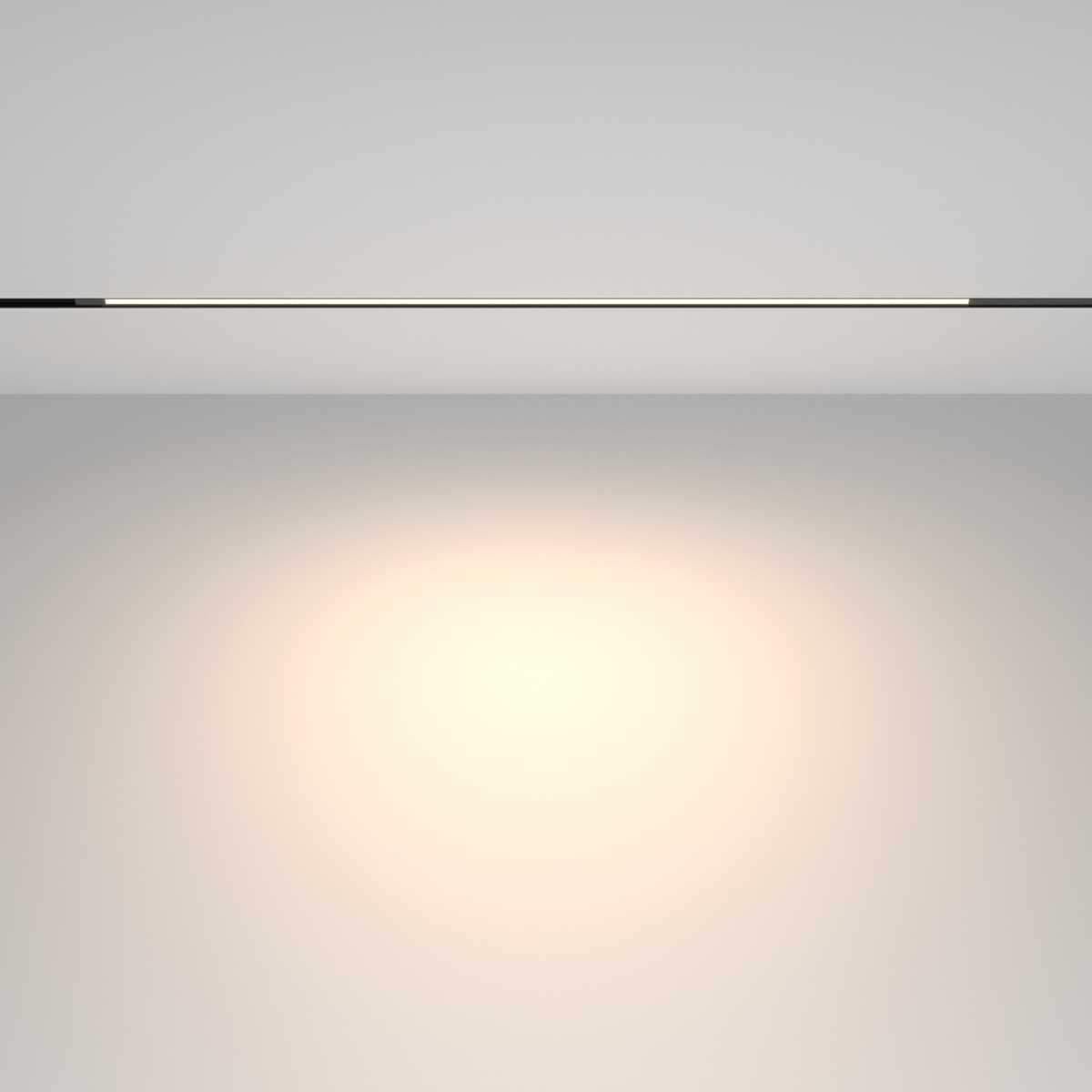 Трековый светильник Maytoni Technical TR231-2-15W4K-B