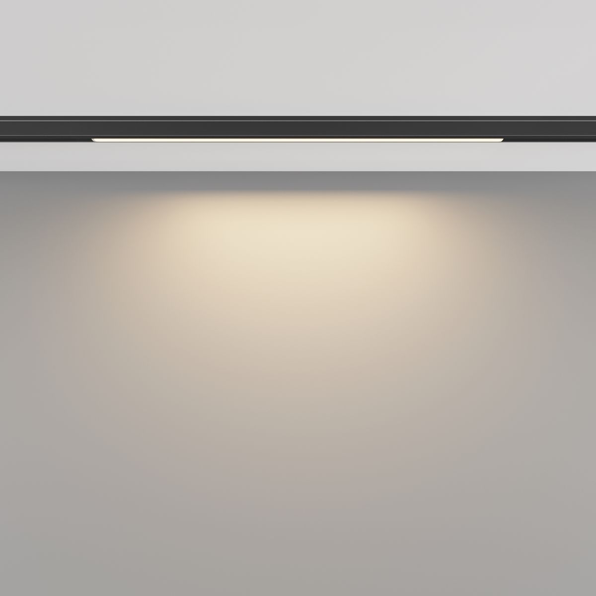 Трековый светодиодный светильник Maytoni Technical Basis TR190-1-5W3K-B