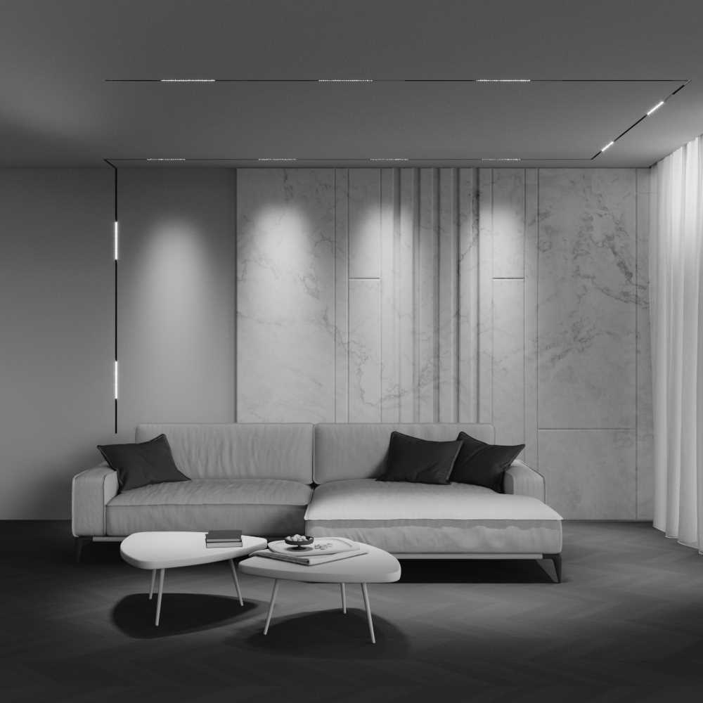 Трековый светильник Maytoni Technical EXILITY X Points TR241-4-12WTW-DSZ-B