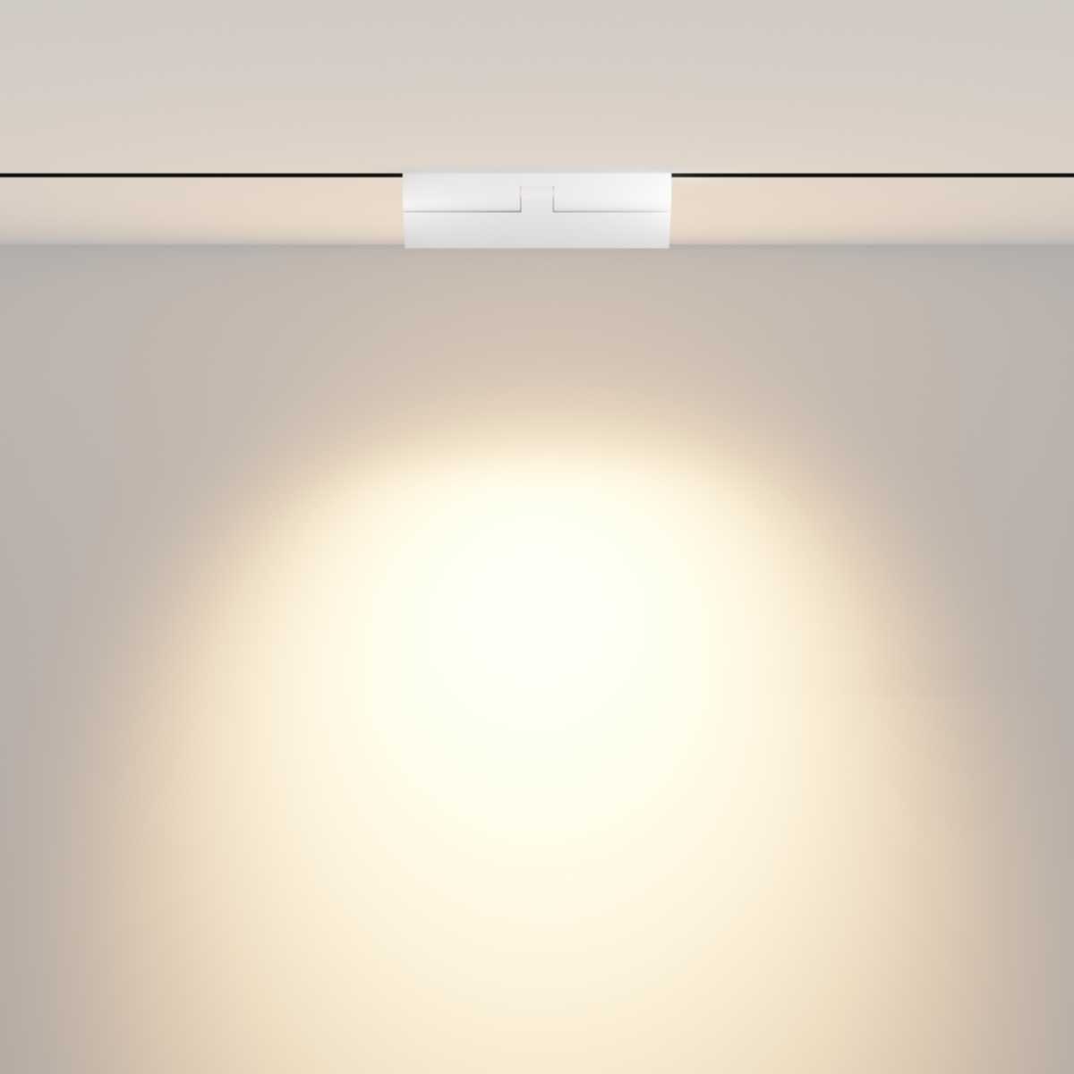 Трековый светодиодный светильник Maytoni Technical Points TR033-2-12W3K-W