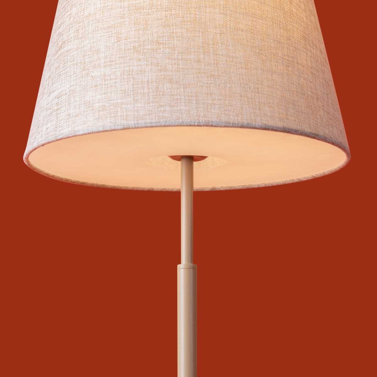 Настольная лампа Freya FR2057TL-01BG