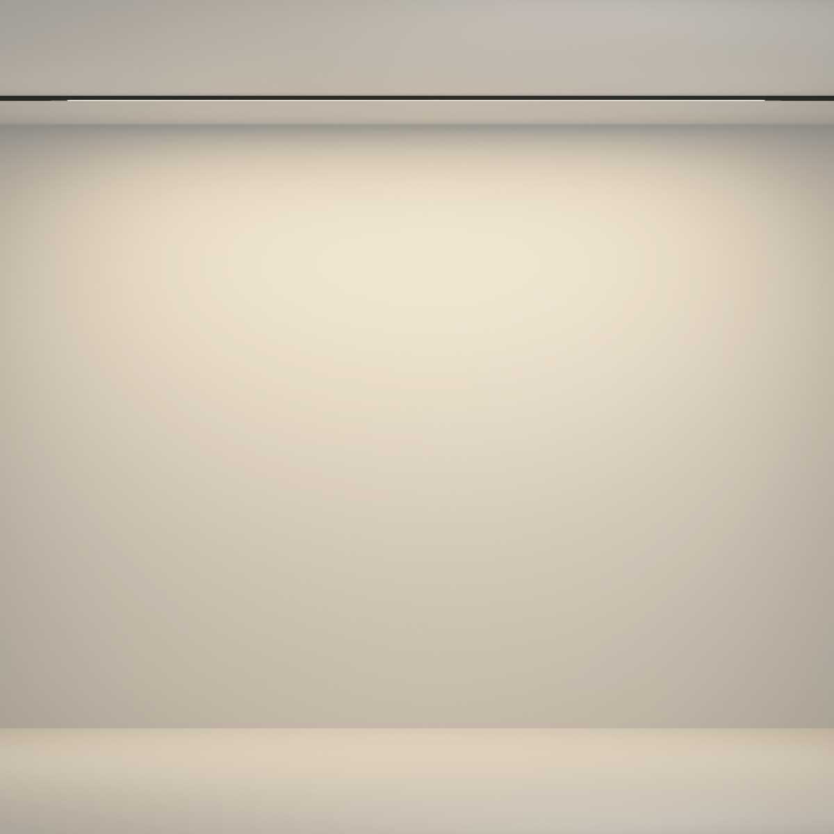 Трековый светильник Maytoni Technical TR180-1-24WTW-B