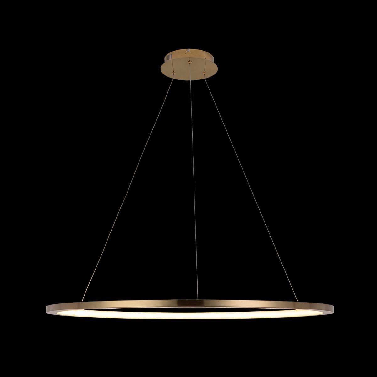 Подвесной светодиодный светильник Loft IT Ring 10014XL