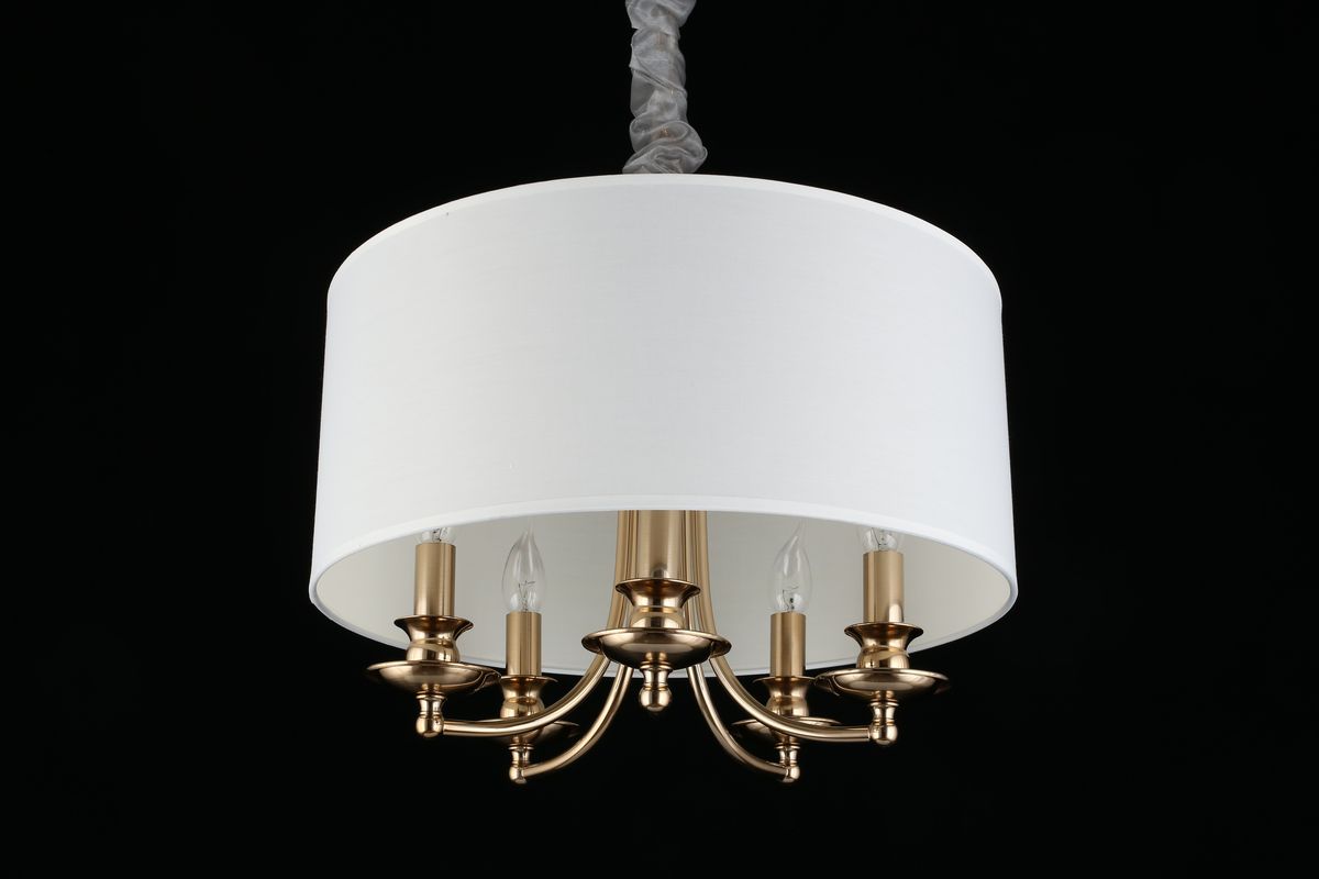 Подвесная люстра Aployt Berze APL.721.06.05