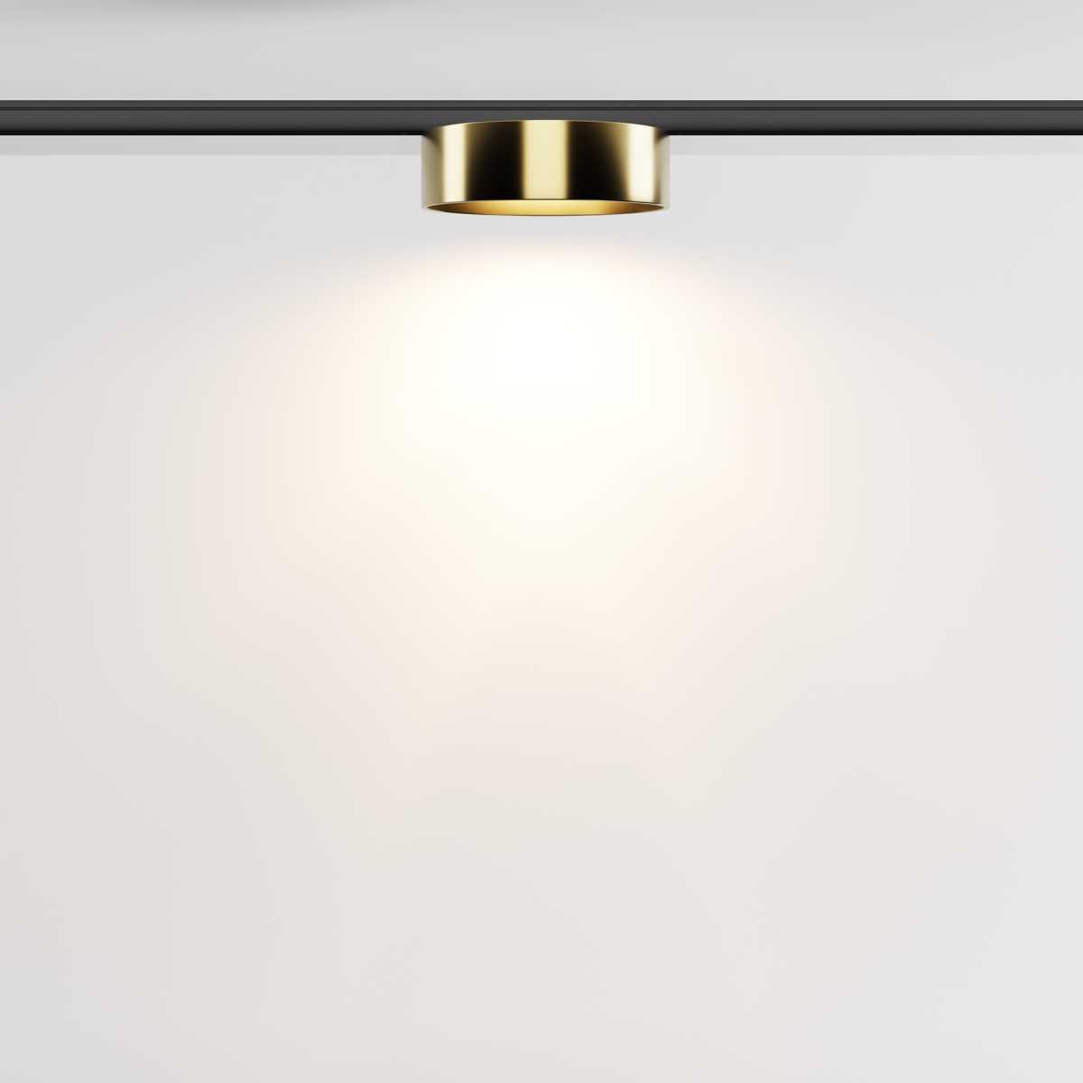 Трековый светильник Maytoni Technical Zon TR189-1-12W3K-BBS