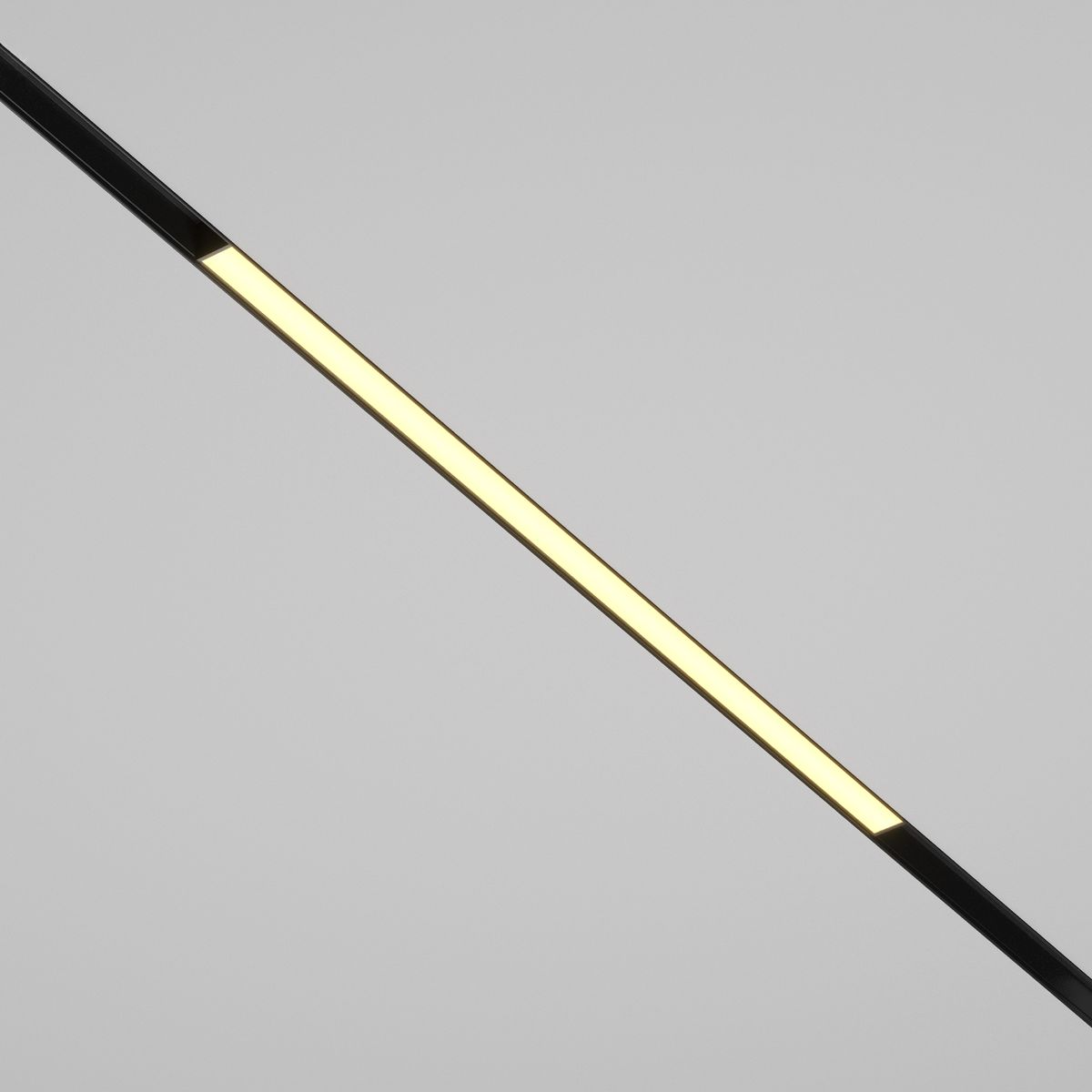 Трековый светодиодный светильник Maytoni Technical Basis TR030-2-24W2.7K-B