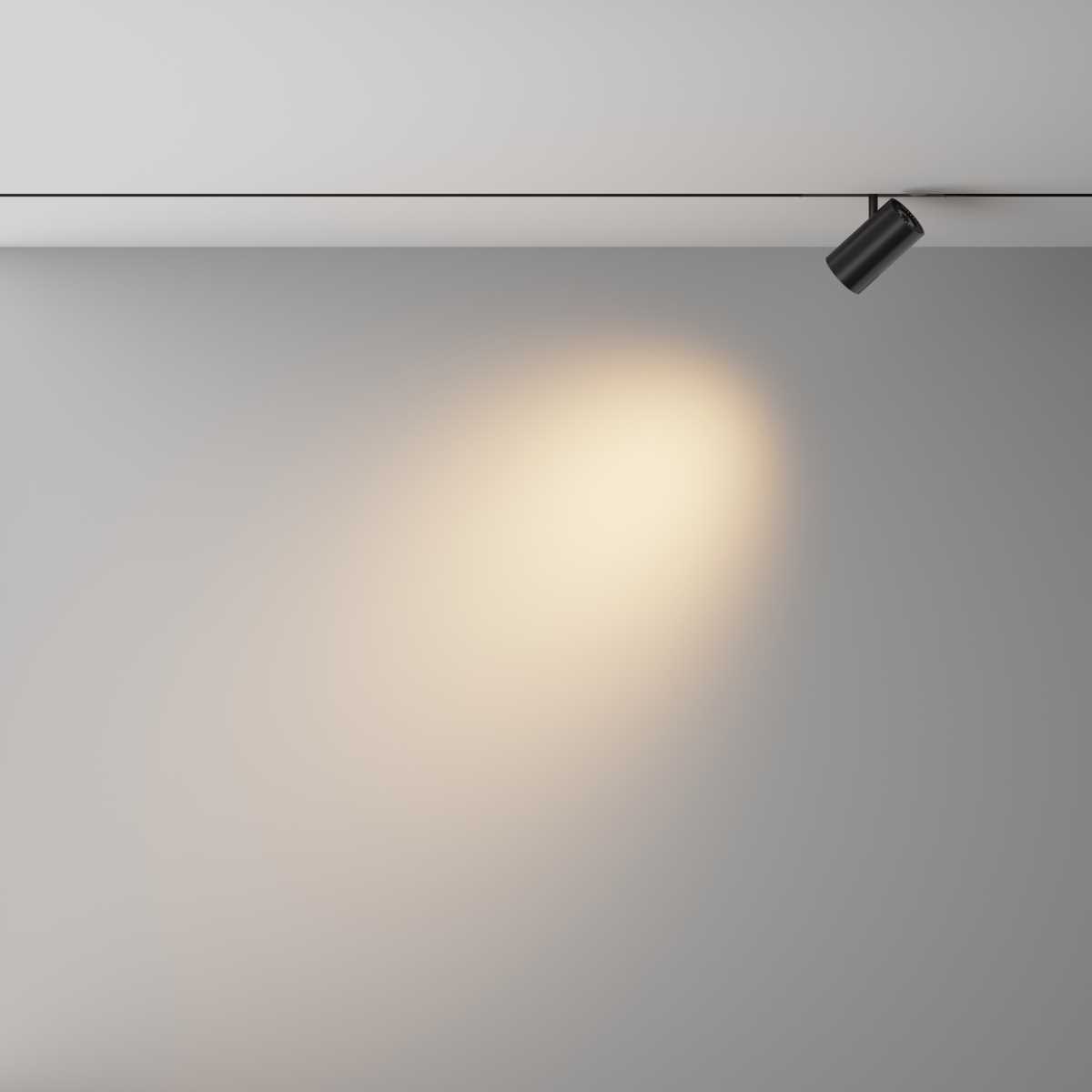 Трековый светильник Maytoni Technical EXILITY X Focus Led TR243-4-12WTW-DD2-B