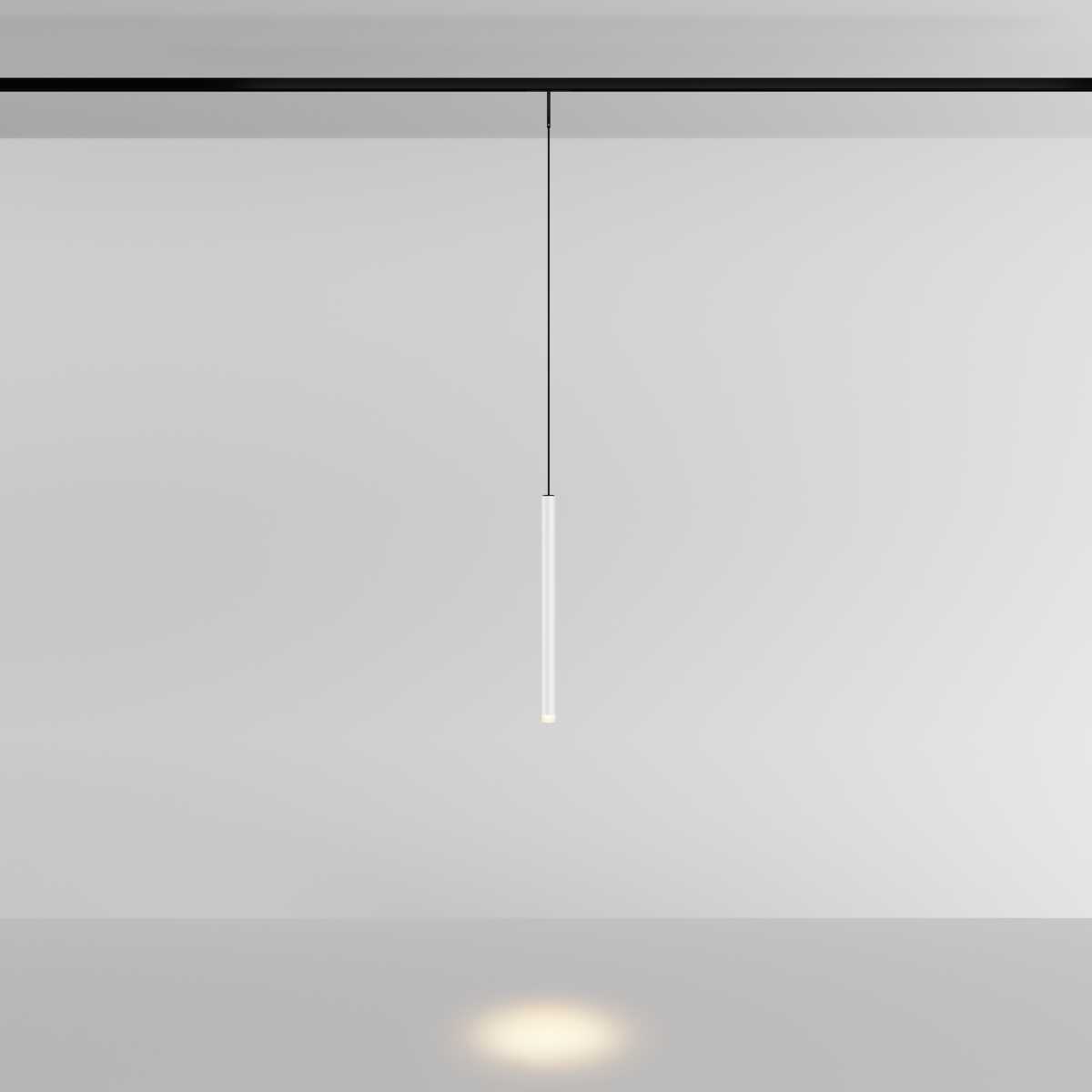 Трековый подвесной светильник Maytoni Technical Skim TR191-1-3W4K-M-BW