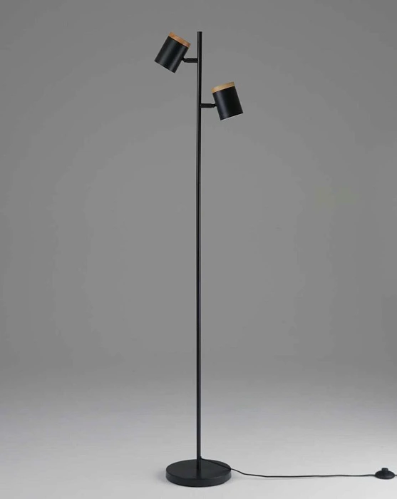 Торшер Moderli Asheswood V11287-2F