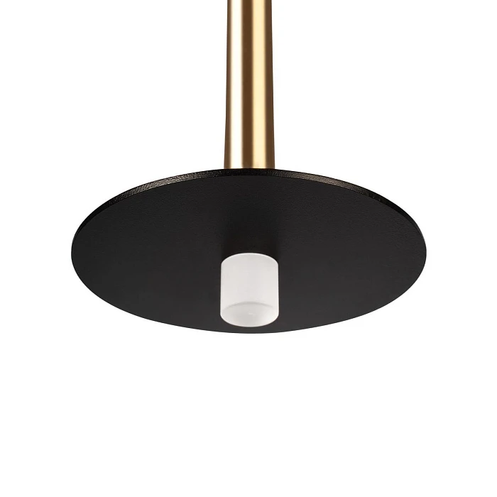 Подвесной светодиодный светильник Loft IT Reed 10358/830 Disk AB