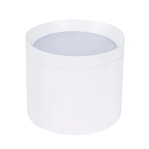 Накладной светильник Favourite 4708-1C