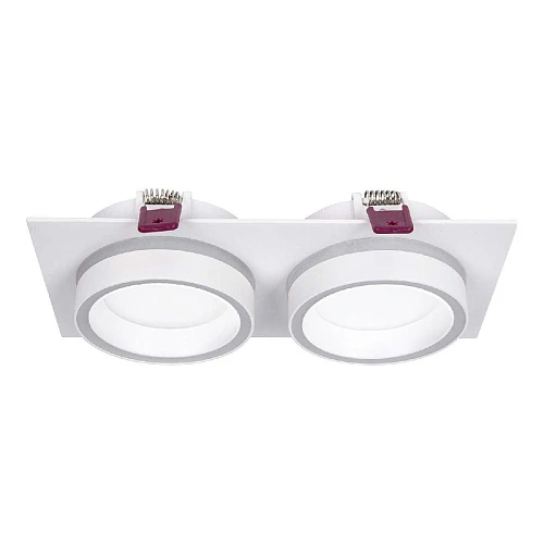 Встраиваемый светильник Favourite 4650-2C