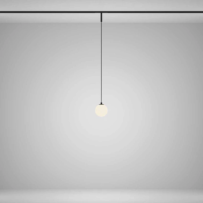 Трековый подвесной светильник Maytoni Technical TR178-1-5WTW-B