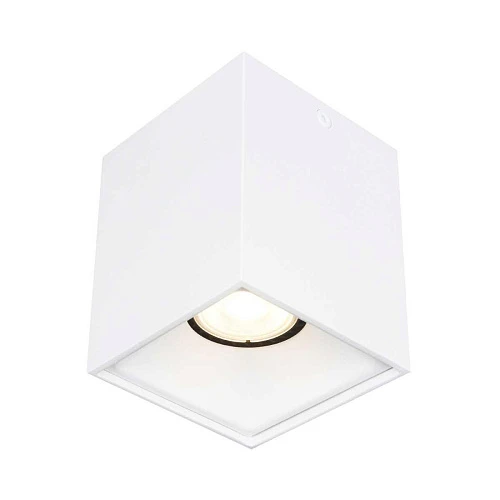 Накладной светильник ST LUCE ST168.502.01