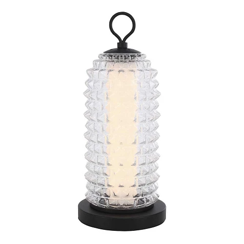 Настольная лампа ST Luce SAGUARO SL6144.404.01