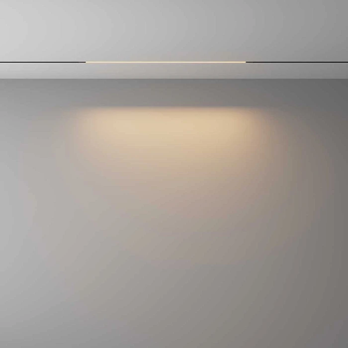 Трековый светильник Maytoni Technical EXILITY X Basis TR240-2-12W3K-B