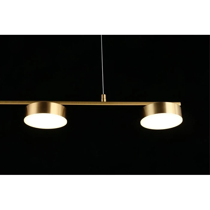 Подвесная светодиодная люстра Aployt Usia APL.047.13.35