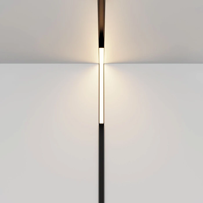 Трековый светодиодный светильник Maytoni Technical Exility Basis Angle TR102-24W-DS-B