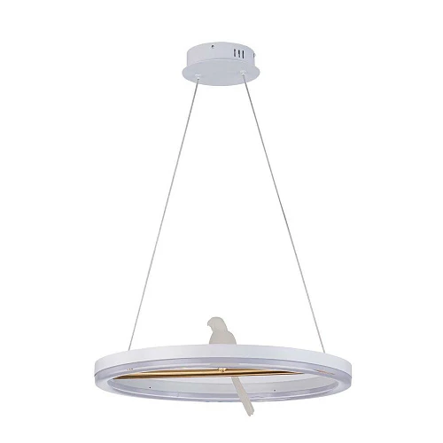 Подвесной светодиодный светильник F-Promo Bardy 4653-1P