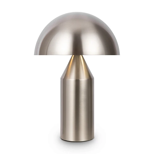 Настольный светильник Maytoni FR5218TL-02N