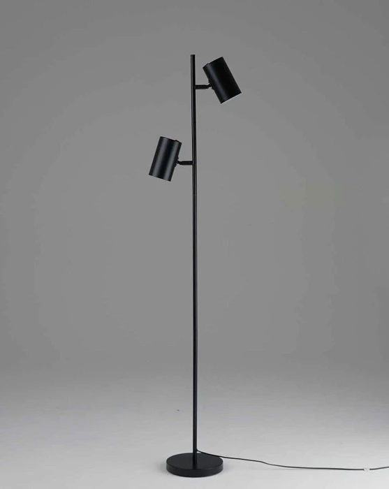 Торшер Moderli Ashes V11329-2F