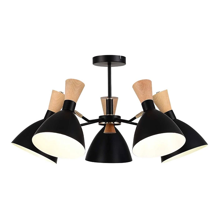 Потолочная люстра Evoluce Vista SLE1256-402-05