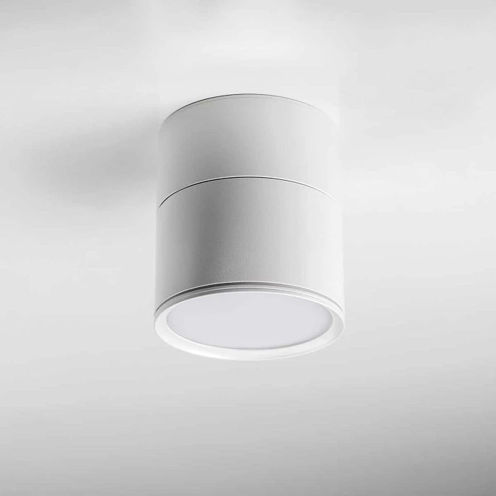 Накладной светодиодный светильник Lightstar Acuto 215886