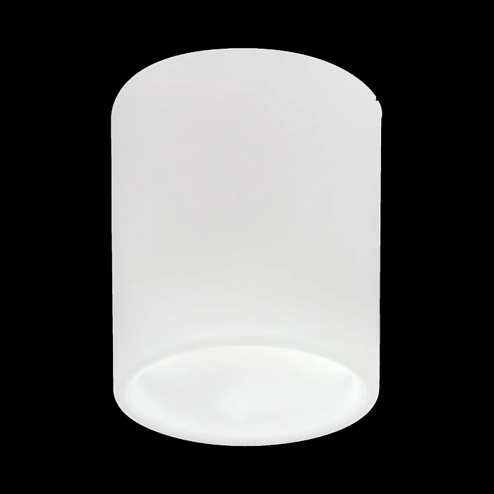 Накладной светильник Lightstar Solido E27 216626