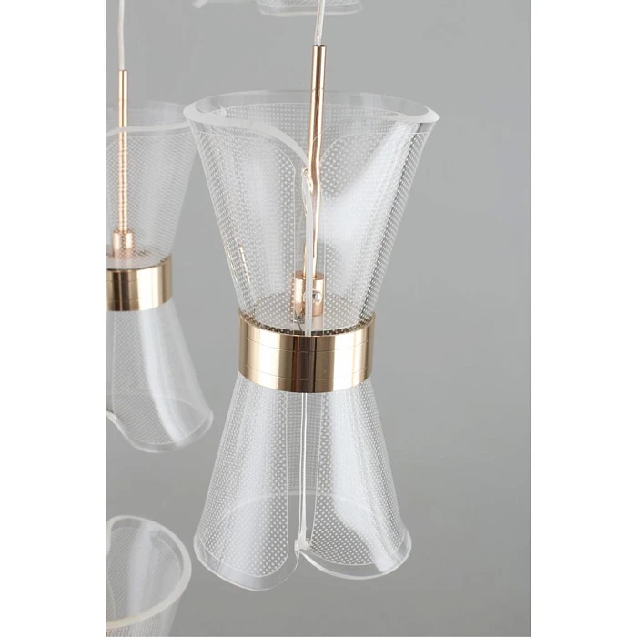 Подвесная светодиодная люстра Aployt Charlayn APL.771.06.80