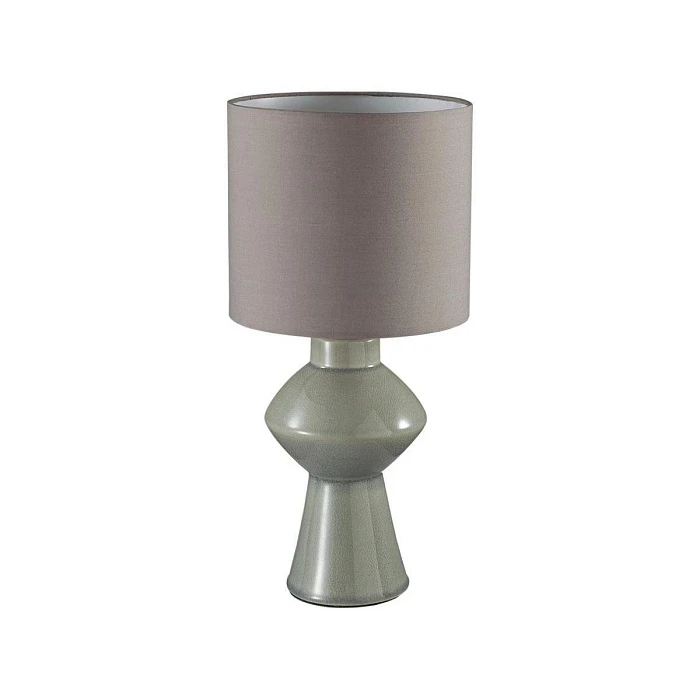 Настольная лампа Lumion Moderni Segi 8129/1T