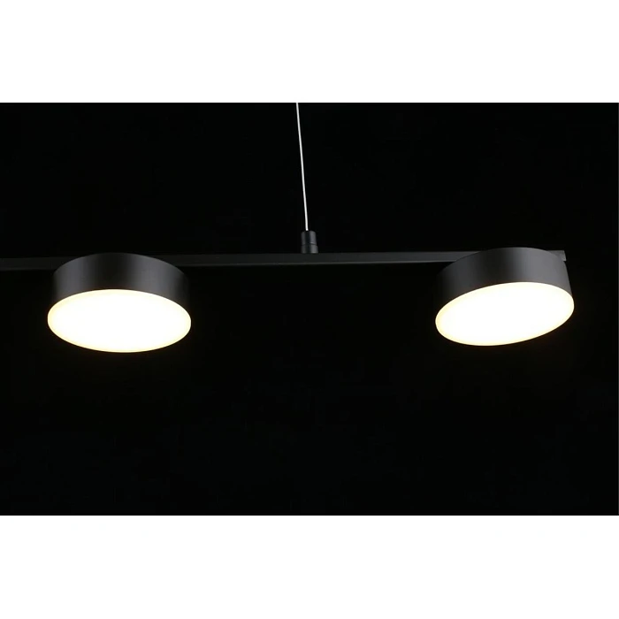 Подвесная светодиодная люстра Aployt Usia APL.047.03.35