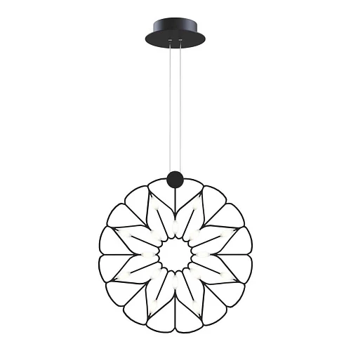 Подвесной светильник Maytoni MOD037PL-L16B