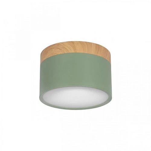 Накладной светодиодный светильник Loft IT Grape 10162 Green