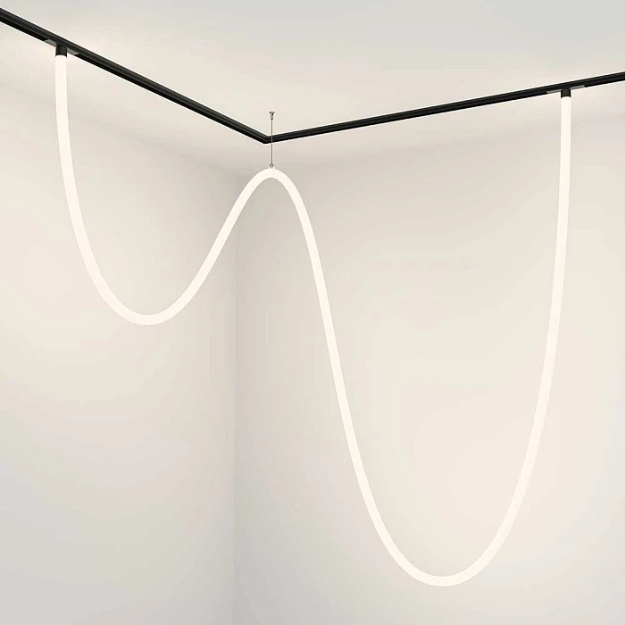 Трековый светодиодный светильник Maytoni Technical Tau TR101-2-100W4K-B