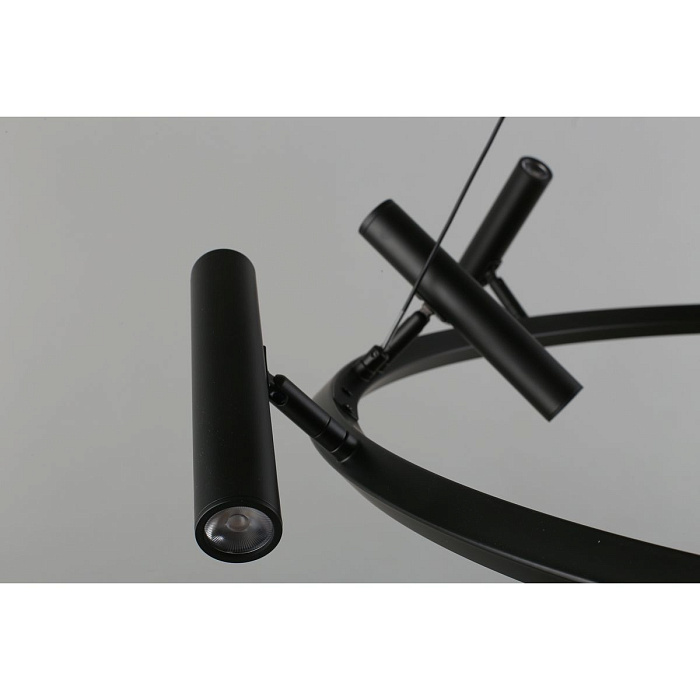 Подвесная светодиодная люстра Aployt Honor APL.067.03.50