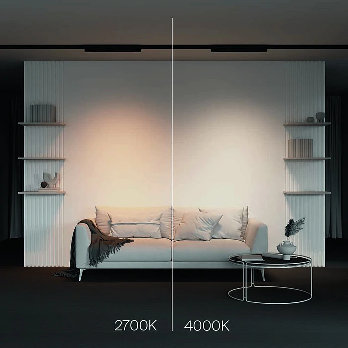 Трековый светодиодный светильник Maytoni Technical Basis TR196-3-20W2.7K-B