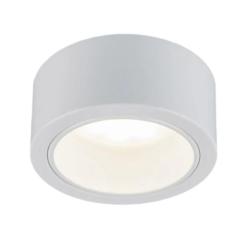 Светильник точечный Электростандарт 1070 WH