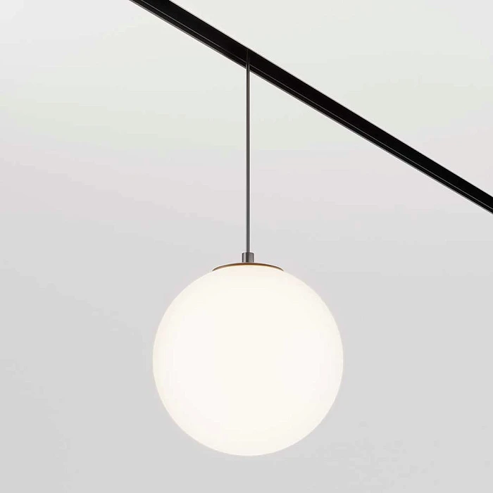 Трековый светодиодный светильник Maytoni Technical Luna TR039-2-5W4K