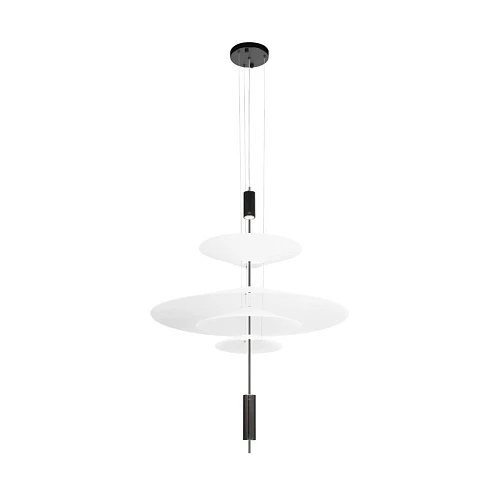 Подвесной светильник Loft IT Skylar 10244/C Black