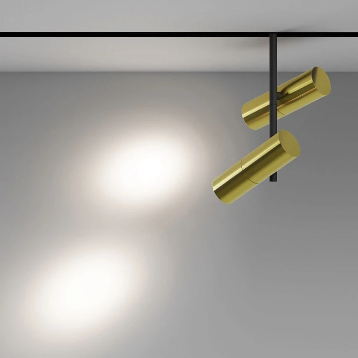 Трековый светодиодный светильник Maytoni Technical Magnetic Exility Elti Duo TR005-2-2X12W4K-BBS