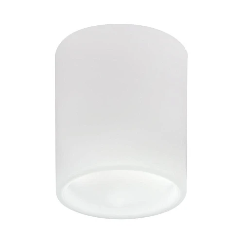 Накладной светильник Lightstar Solido E27 216626